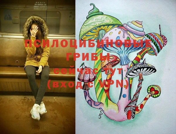 шишки Нефтегорск