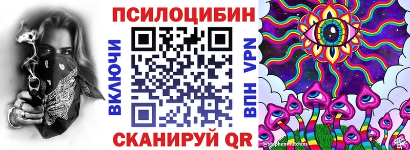 blacksprut ссылки Рыбинск Псилоцибиновые грибы Psilocybine cubensis