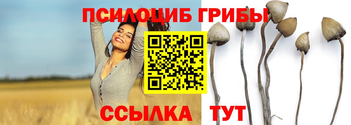 Галлюциногенные грибы прущие грибы  Псилоцибиновые грибы Magic Shrooms  Вход с VPN  купить наркотики сайты  Рыбинск 