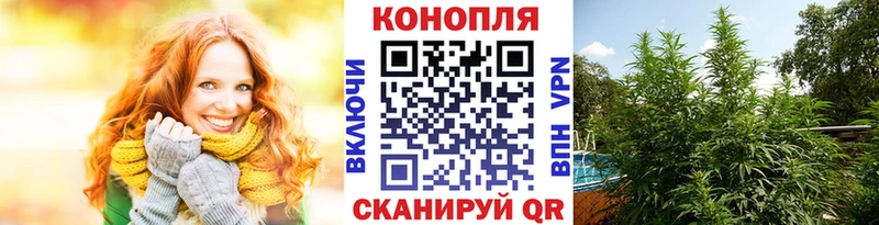 Бошки Шишки SATIVA & INDICA  Рыбинск 